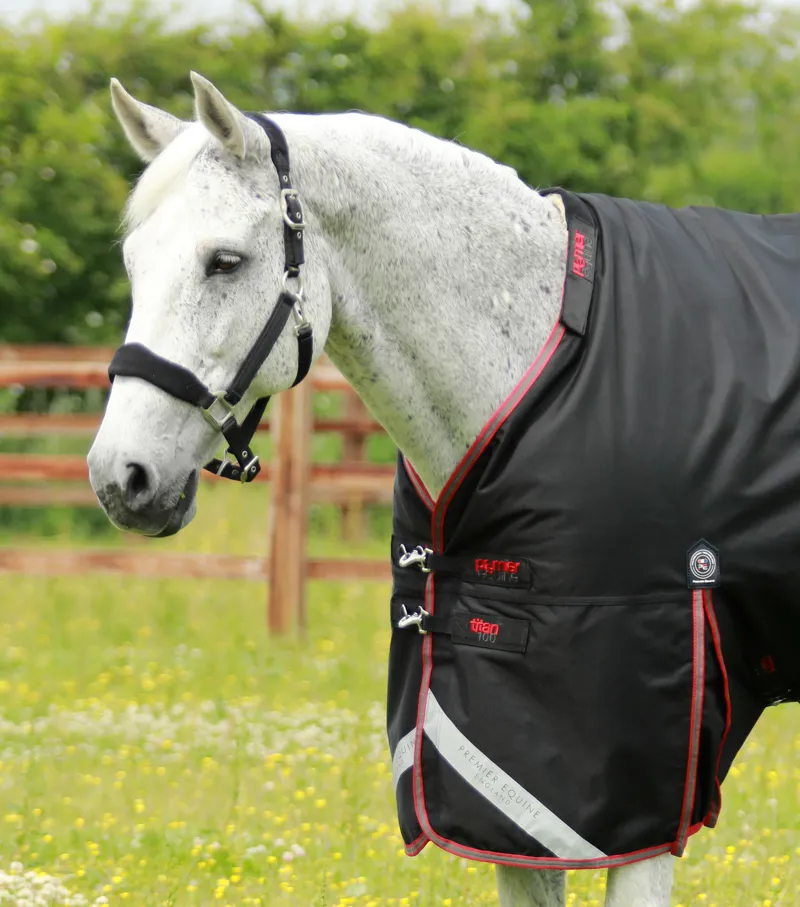 Premier Equine Titan 100g Turnout Rug With Snug-Fit Neck Cover Black 4 Premier Equine Titan 100g Turnout Rug With Snug-Fit Neck Cover Black - Image 2