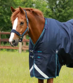 Premier Equine Titan 200g Turnout Rug With Snug-Fit Neck Cover Navy -Equestrian Supply Store Titan 200 Turnout Rug Navy 2