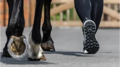 LeMieux Trax Waterproof Trainer - Black 23 LeMieux Trax Waterproof Trainer - Black -Equestrian Supply Store black 2131