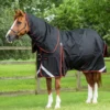 Premier Equine Buster 420g Turnout Rug With Classic Neck Cover Black -Equestrian Supply Store buster 420 black 1
