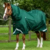 Premier Equine Buster Storm 220g Combo Turnout Rug With Classic Neck Green 1 Premier Equine Buster Storm 220g Combo Turnout Rug With Classic Neck Green -Equestrian Supply Store buster storm 220 green 1