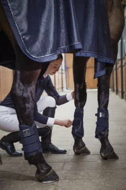 Eskadron Platinum Pure Softshell Tendon Boots Navy 7 Eskadron Platinum Pure Softshell Tendon Boots Navy -Equestrian Supply Store dc04c820 67d8 4352 b6f7 10d581dcc1c4