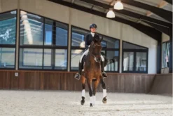 Eskadron Platinum Pure Softshell Tendon Boots White