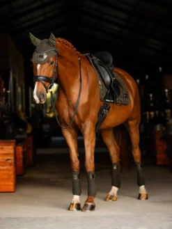 LeMieux Adour Polo Bandages Oak 9 LeMieux Adour Polo Bandages Oak -Equestrian Supply Store it01404 lifestyle adourdressagesquare oak 2