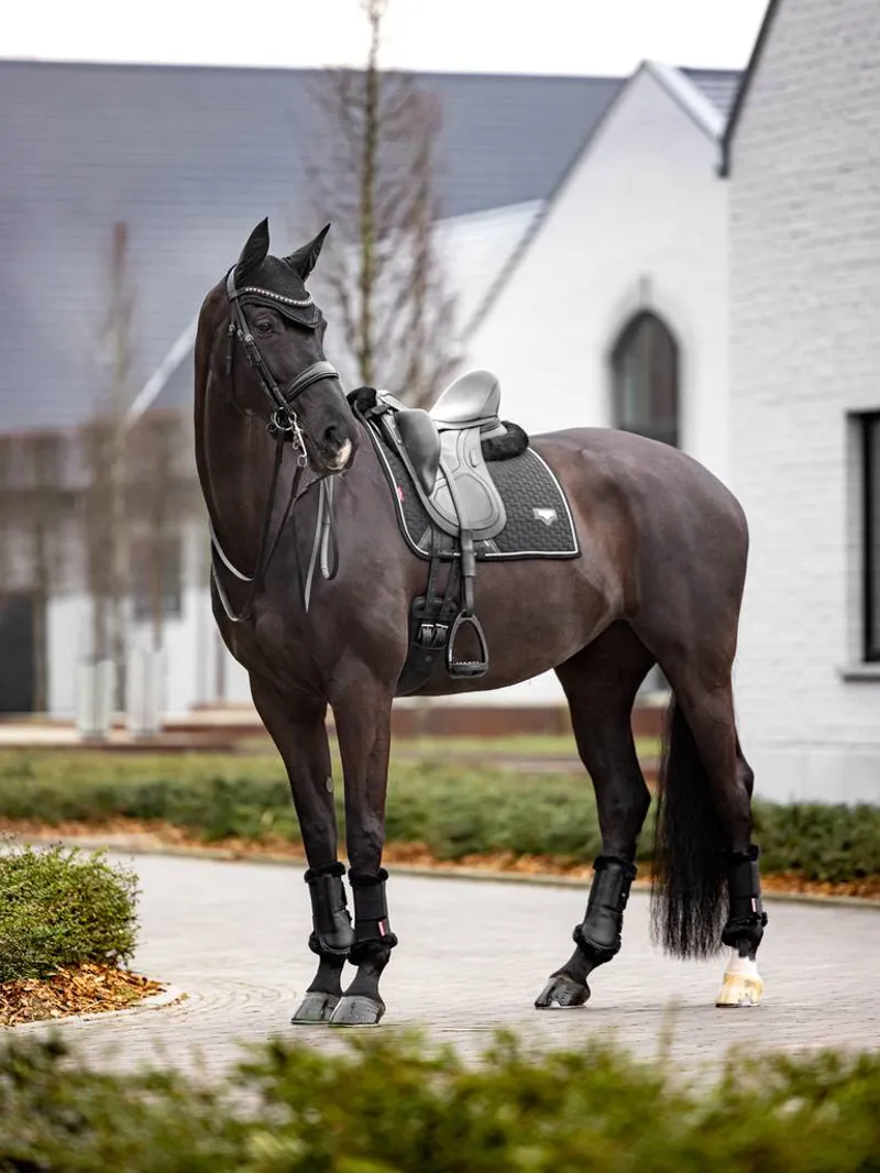 LeMieux Puissance Suede Dressage Square Black 4 LeMieux Puissance Suede Dressage Square Black - Image 2