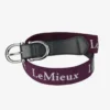 LeMieux Elasticated Belt Fig -Equestrian Supply Store lm Aw22 belt fig hr204