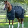 Premier Equine Lucanta Demi Stable 450g Black -Equestrian Supply Store lucanta demi stable rug 450g black 1