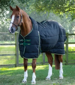 Premier Equine Lucanta Demi Stable 450g Black