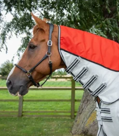 Premier Equine ShowerTex Fly Rug With Surcingles Red -Equestrian Supply Store showertex stay dry fly rug red 2
