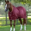 Premier Equine Tuscan Stable Rug 100g Burgundy 2 Premier Equine Tuscan Stable Rug 100g Burgundy -Equestrian Supply Store tuscan stable rug 100g burgundy