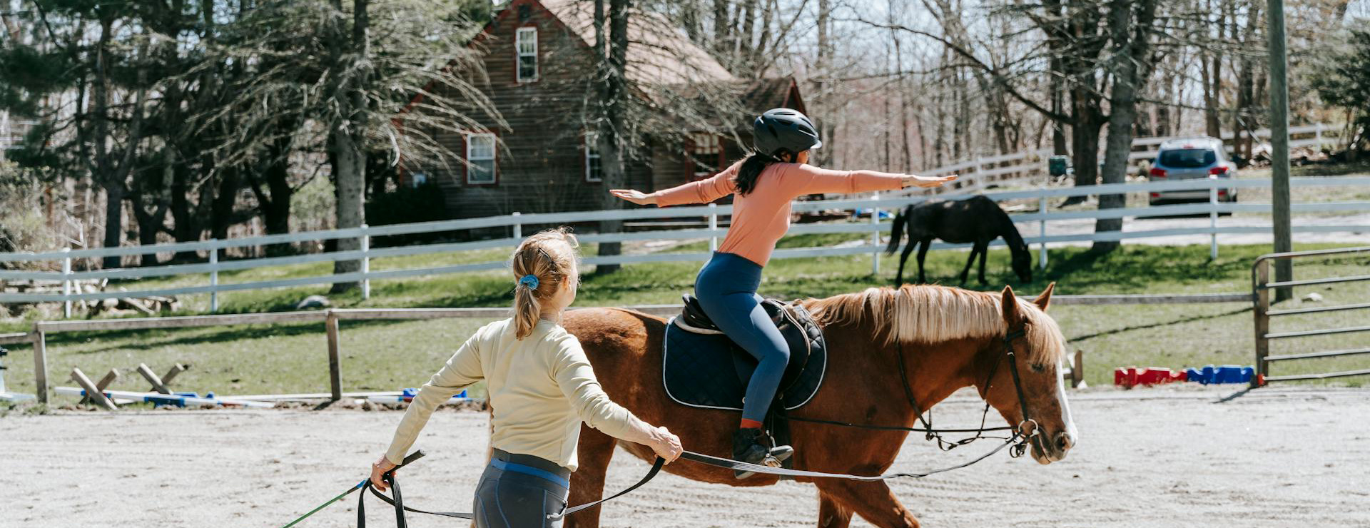 Equestrian Supply Store -Equestrian Supply Store pexels barbara olsen 7882551